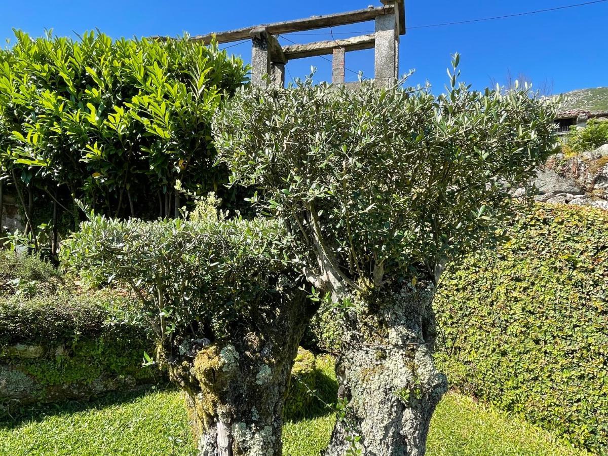Villa Casa De Santo Andre à Monção Extérieur photo